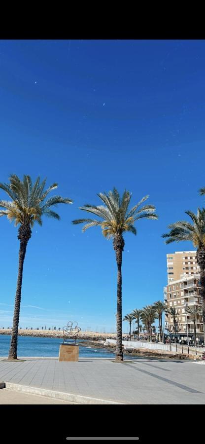 Apartamento Playa Del Cura 또레비에하 외부 사진